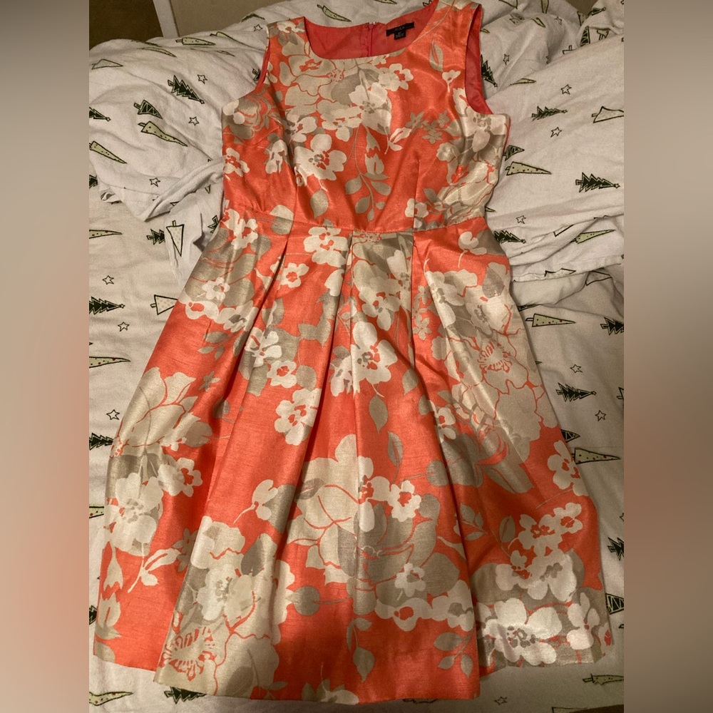 R & K  Peach & Cream Floral Belted Dress Size 2P